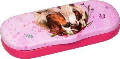 PRECIOSO ESTUCHE DE LENTES CON PANO Y CIERRE A PRESIÓN PARA AMIGOS DE LOS CABALLOS