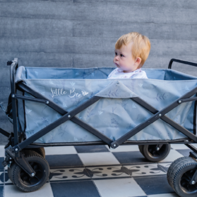 CARRO PLEGABLE