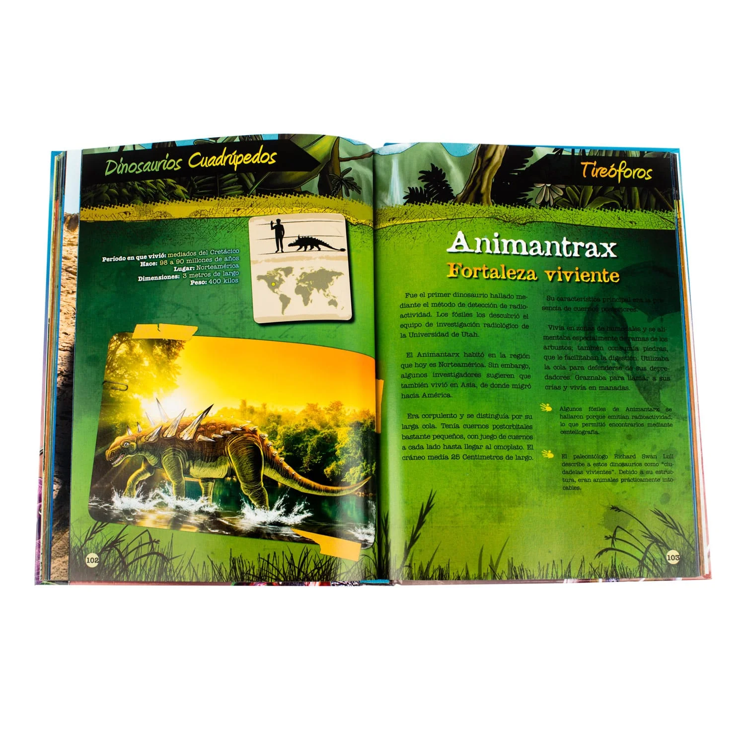 DINOSAURIOS 3D - Imagen 4