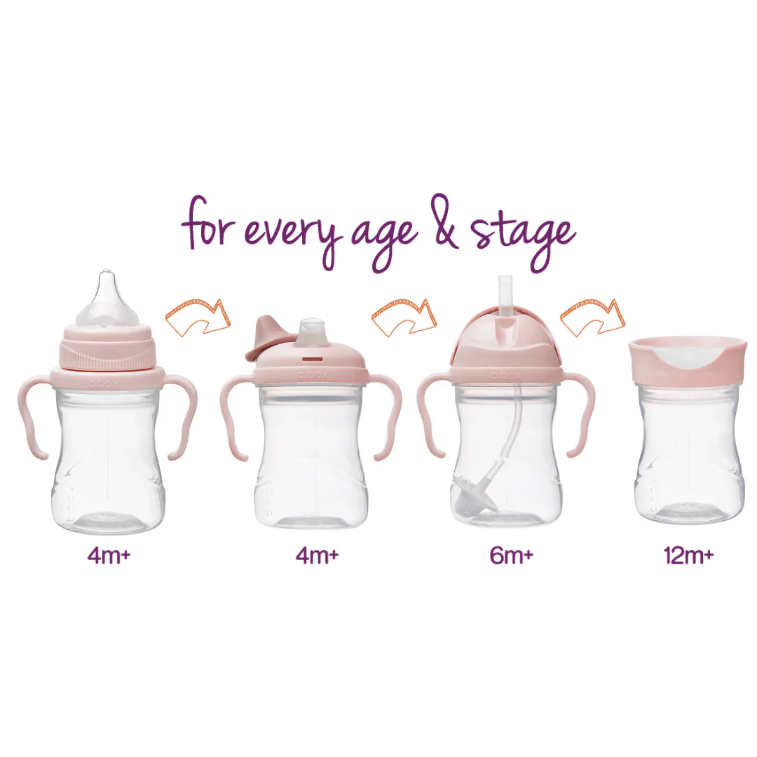SET DE TRANSICION VASO BBOX BLUSH - Imagen 2
