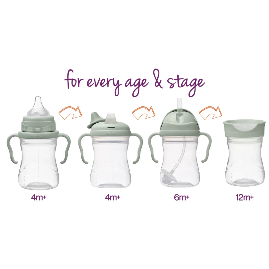 SET DE TRANSICION VASO BBOX SAGE - Imagen 2